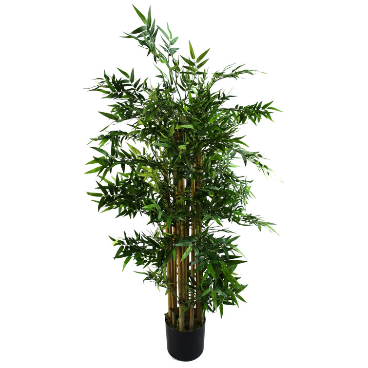 Leaf Faux Bamboo Plant in Pot & Reviews Wayfair.co.uk